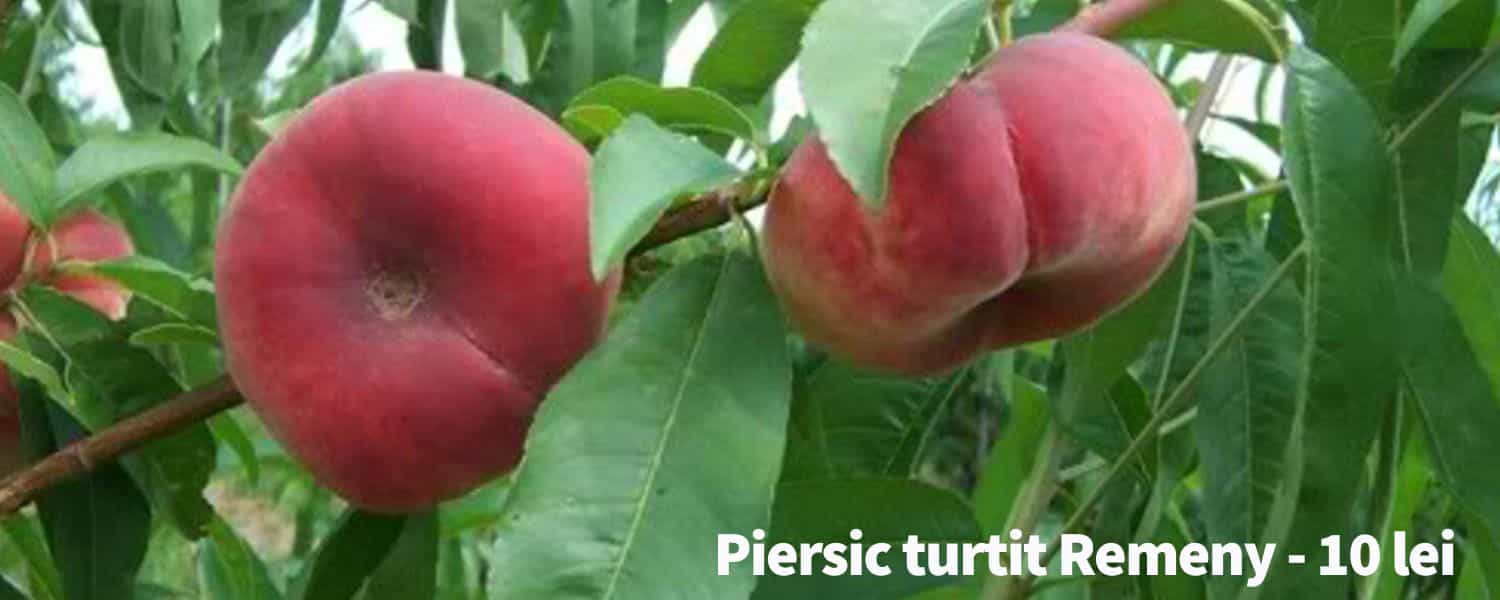 pomi-fructiferi piersic